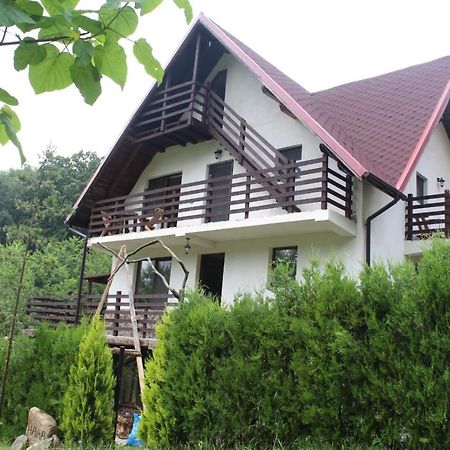 Havva Hotel Călimăneşti Eksteriør billede