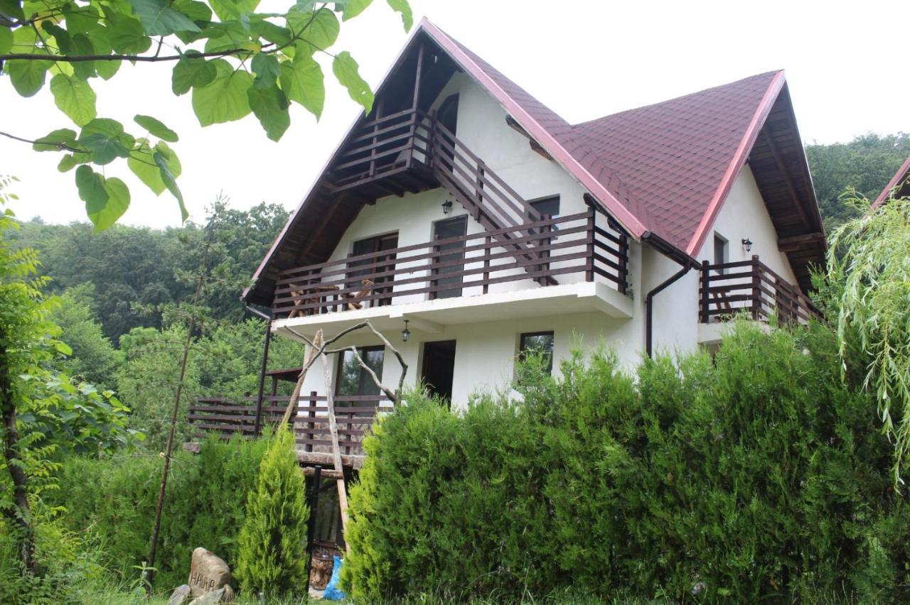 Havva Hotel Călimăneşti Eksteriør billede