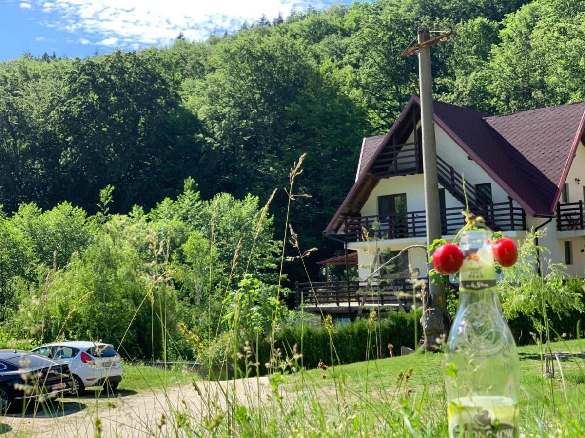 Havva Hotel Călimăneşti Eksteriør billede