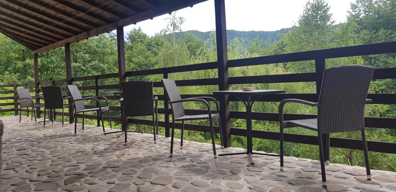 Havva Hotel Călimăneşti Eksteriør billede