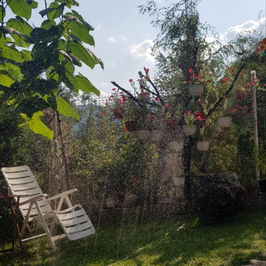 Havva Hotel Călimăneşti Eksteriør billede