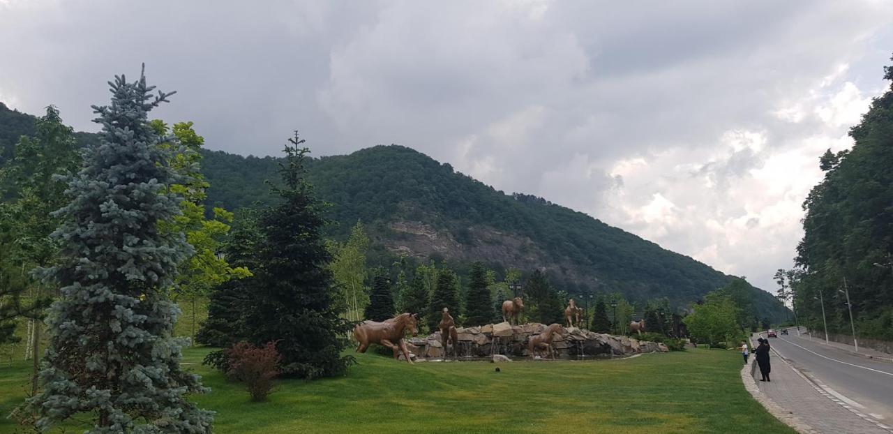Havva Hotel Călimăneşti Eksteriør billede