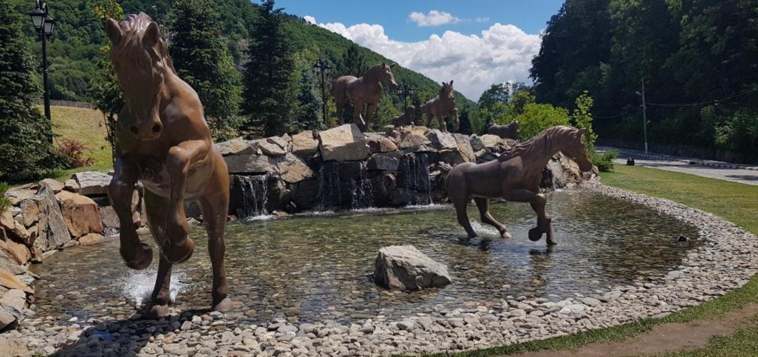 Havva Hotel Călimăneşti Eksteriør billede